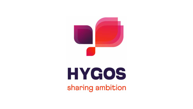 Weblogo - Hygos